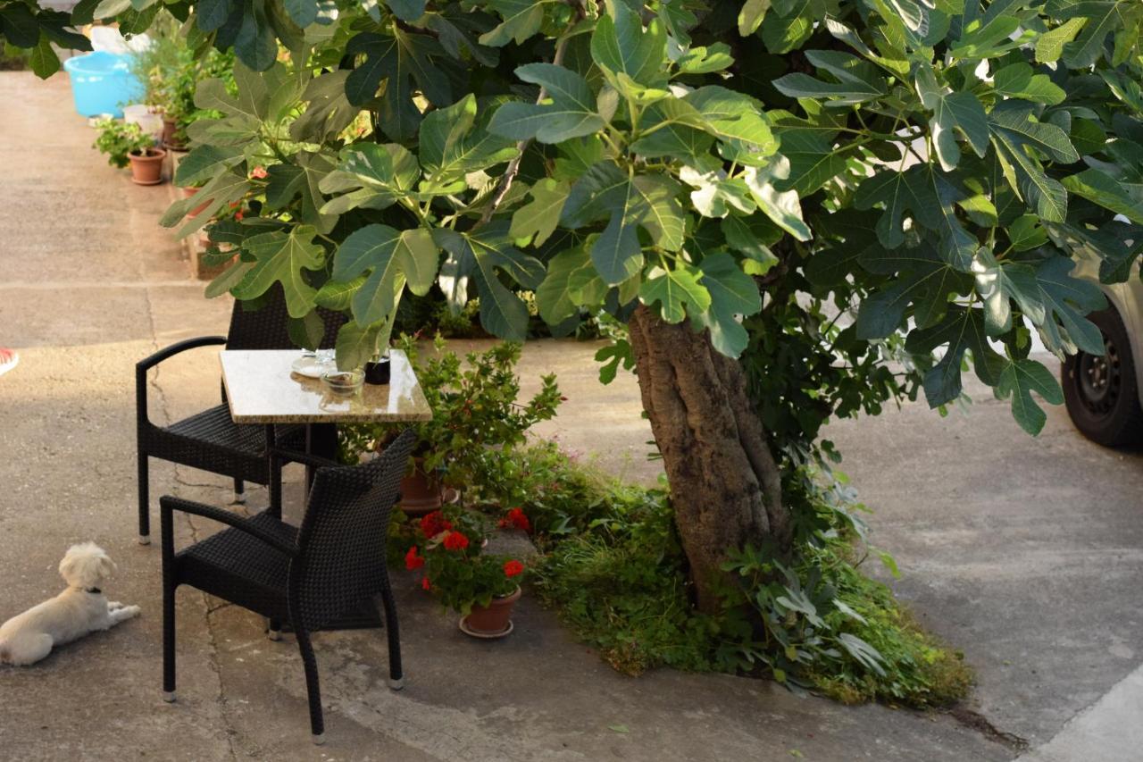 Studio Apartman Marina Βόντιτσε Εξωτερικό φωτογραφία