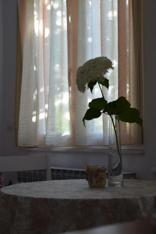 Studio Apartman Marina Βόντιτσε Εξωτερικό φωτογραφία